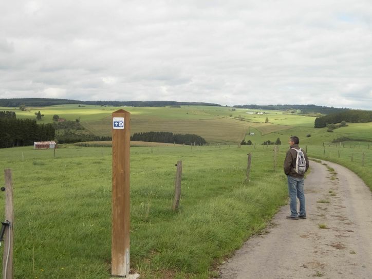 Die Verknüpfung der lokalen Wanderschleifen zu einem zusammenhängenden Wegenetz, welches sich flächendeckend über die Region zieht. Das ist das Ziel des neuen Wanderknotenpunktsystems durch alle Kommunen Ostbelgiens.