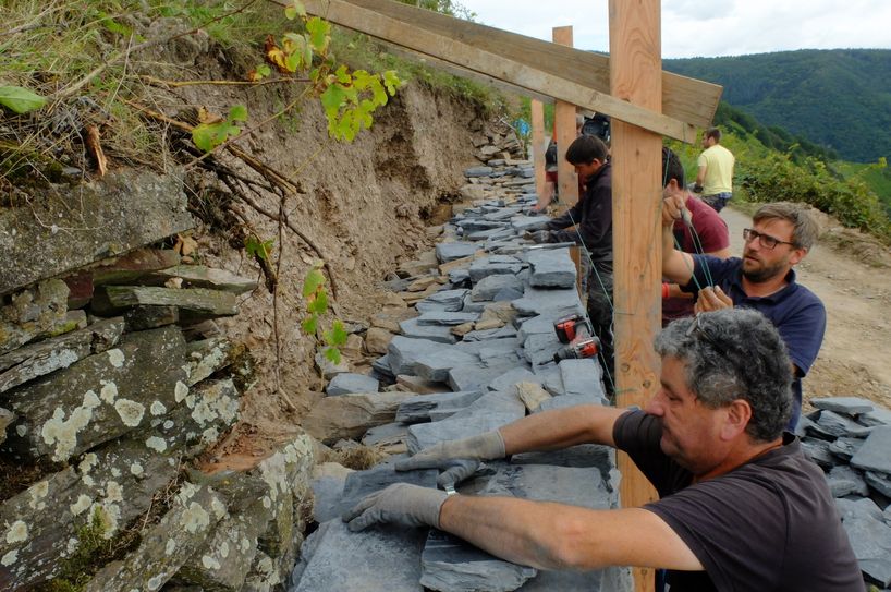 Die Herstellung von Trockenmauern wird bei einem Seminar in Winningen gezeigt.