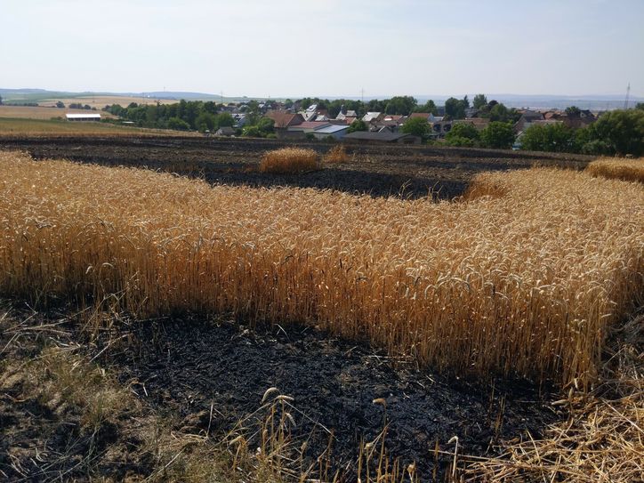 Den Flächenbrand bei Pleitersheim hatten die Helfer glücklicherweise schnell unter Kontrolle.