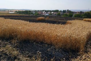 Den Flächenbrand bei Pleitersheim hatten die Helfer glücklicherweise schnell unter Kontrolle.