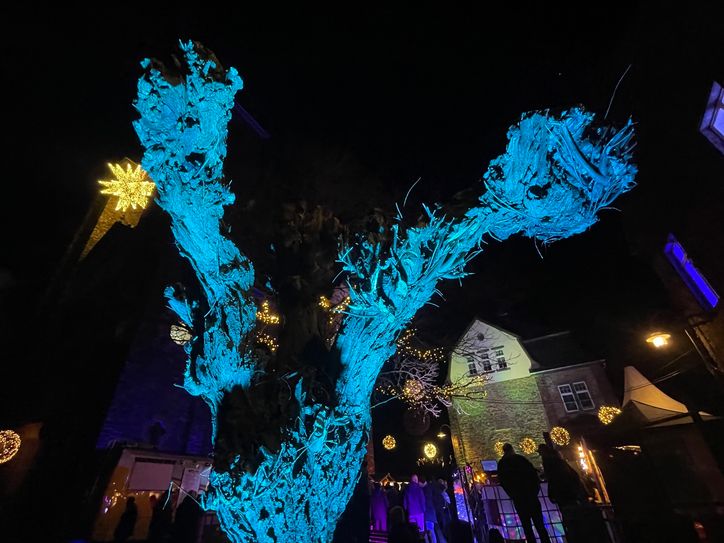 Die Gäste erwartet eine wundervolle Illumination.