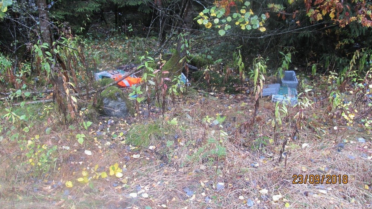 In einem Waldstück zwischen Waldkönigen und Dockweiler wurde illegal Müll entsorgt. Foto: Polizei Daun