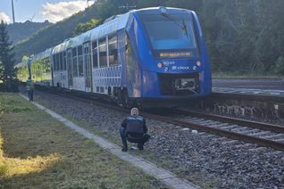 Ein umgestürzter Baum sorgte am Montag für eine mehrstündige Streckensperrung.