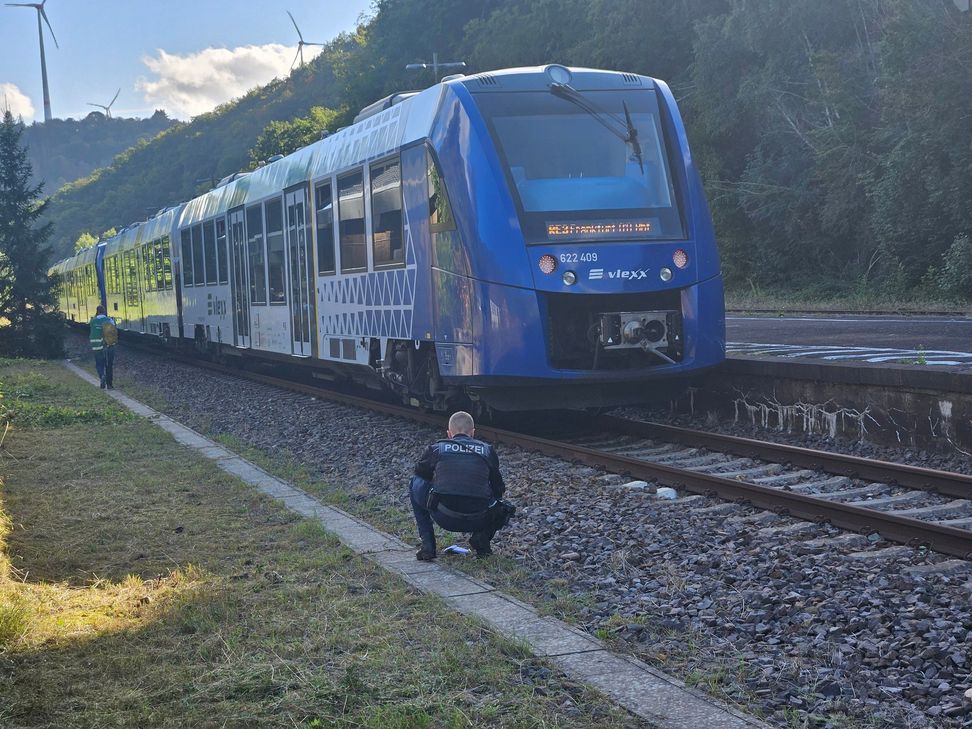 Ein umgestürzter Baum sorgte am Montag für eine mehrstündige Streckensperrung.