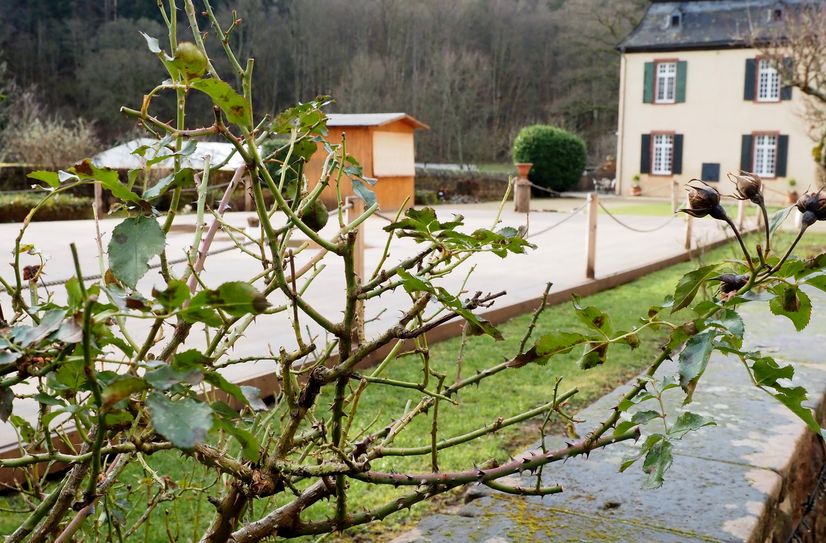 Historisch und romantisch: Die Burg Bruch im Wittlicher Land.