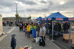 Am Freitagmorgen mussten die Kastanien- und Eichelsammler bei Haribo noch nicht lange warten. Foto: Mager