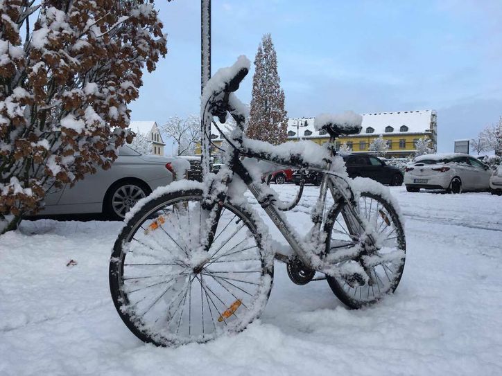 Winterwunderland auf dem Petrisberg. Foto: Neumann
