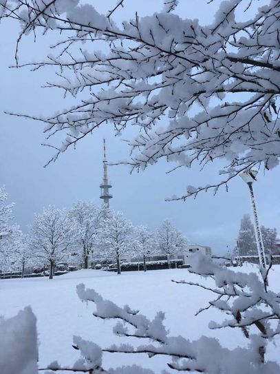 Winterwunderland auf dem Petrisberg. Foto: Neumann