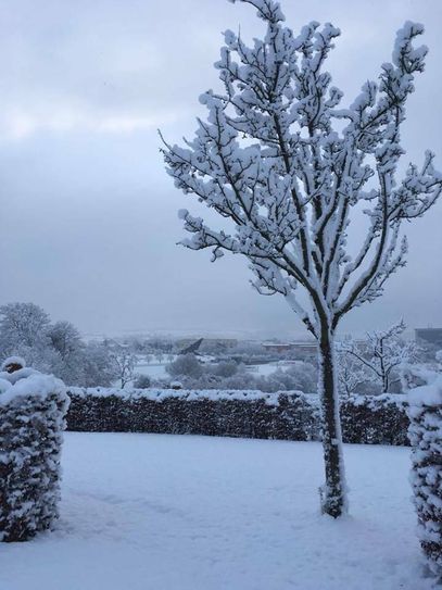 Winterwunderland auf dem Petrisberg. Foto: Neumann