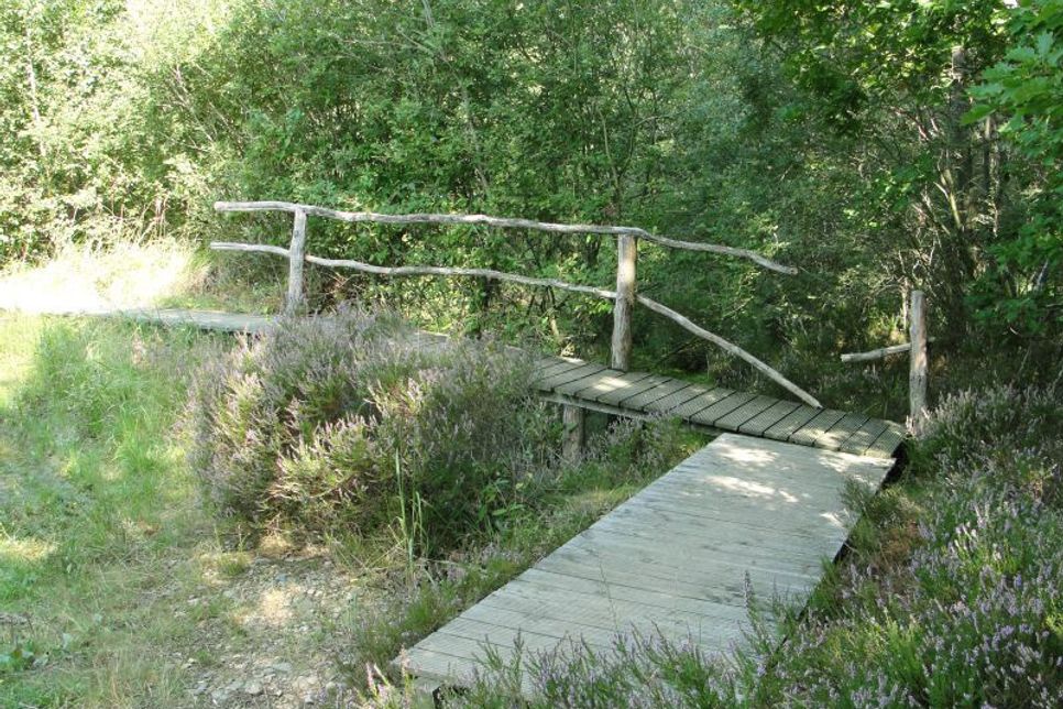 Eine kleine Brücke und Holzstege leiten über feuchte Passagen.