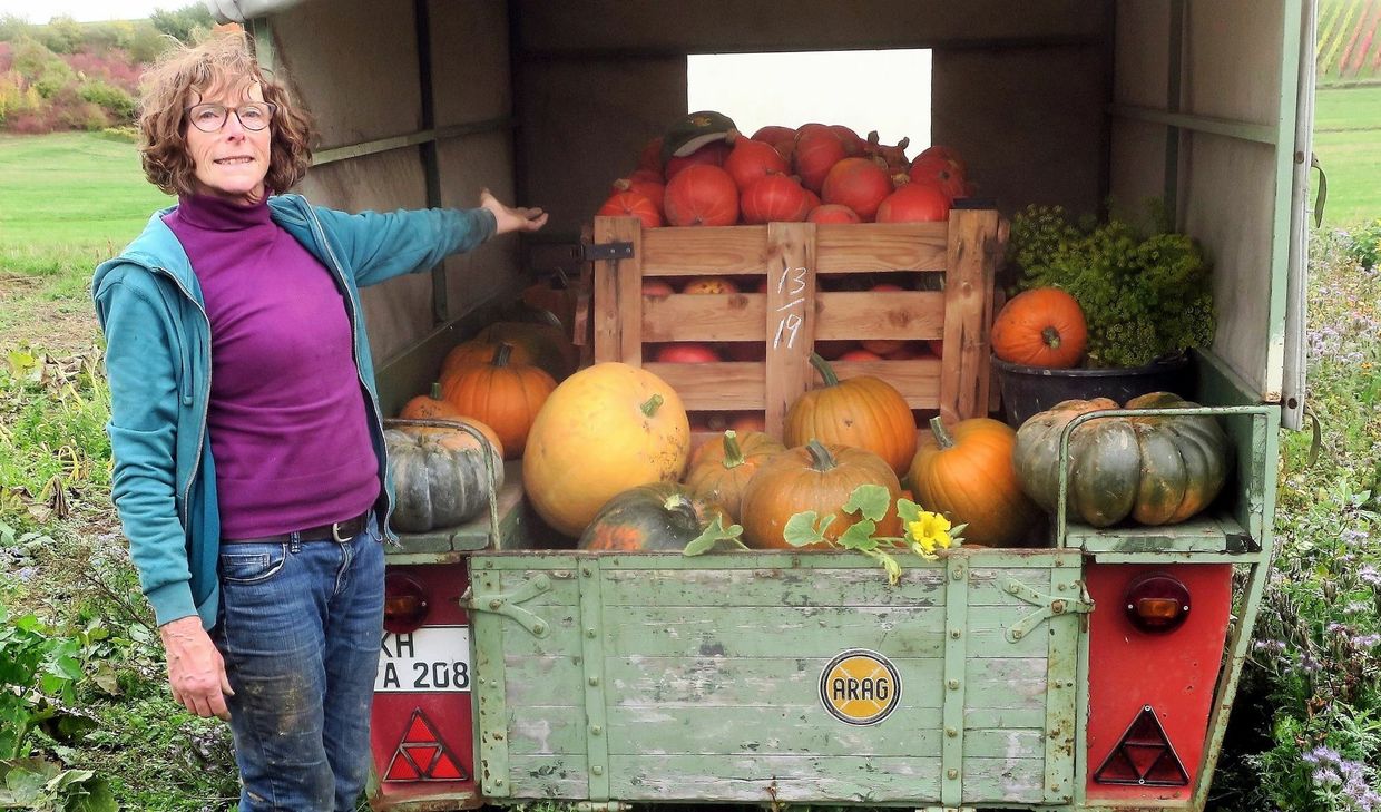 Kürbisse, Quitten, Äpfel, Trauben und Walnüsse werden bei der Aktion gegen Spenden abgegeben.
