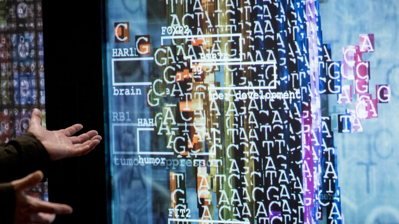 Peter Weibel, Bernd Lintermann: „Der Spiegel der Distribution“ (2018). Foto: FF