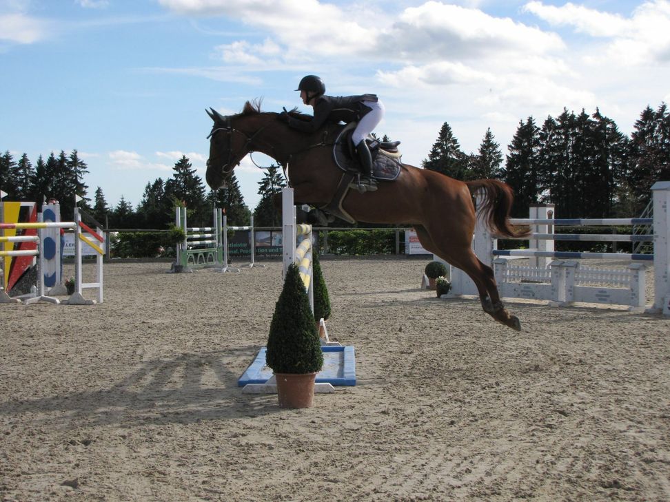 Das Reitturnier in Mützenich ist ein Highlight für Pferdenarren.