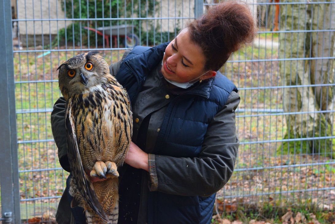 Ohne Flugtraining entlässt Tierärztin Sevgi Elif Istemi keinen Greifvogel in die Freiheit. Das gilt auch für das Uhu-Weibchen das bald ausgewildert werden soll.