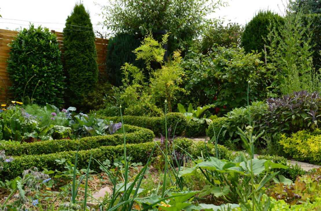 Wollten Sie schon immer mal einen Blick in anderer Leute Gärten werfen? Das geht am Sonntag.