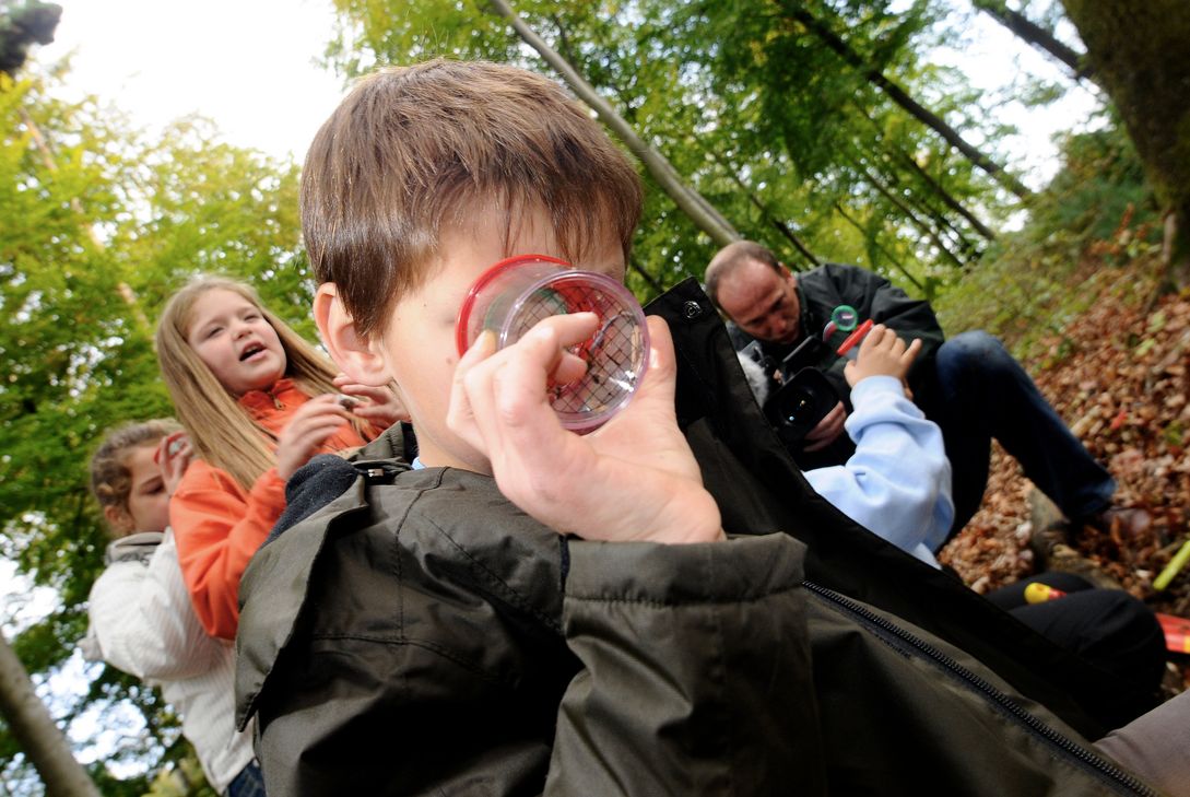 Der Meulenwaldtag zeigt: Holz ist mehr als ein Rohstoff. Bei Bestimmungsaktionen im Wald können Kinder die faszinierende Artenvielfalt entdecken, die sich im Totholz versteckt.