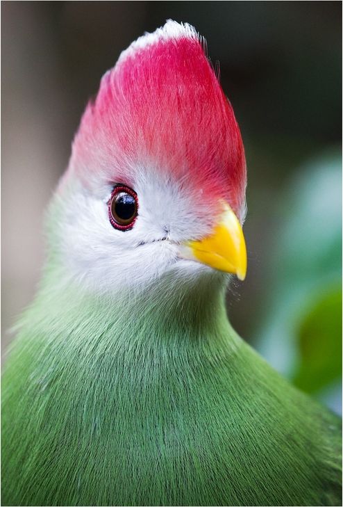 Urban Scheld will auch auf Maui mit guter Zeit ins Ziel einlaufen.