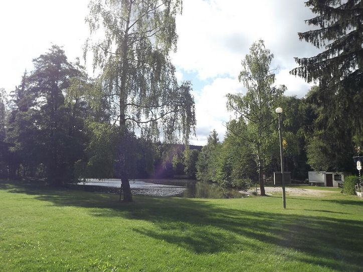 Die Kreisverwaltung Rhein-Hunsrück als Untere Wasserbehörde hat die Warnstufe für den Waldsee in Argenthal ausgesprochen. (Foto: Archiv)