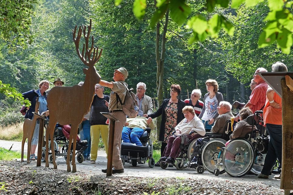 Waldführer Joseph Noel begleitet eine Gruppe von Rollstuhlfahrern mit ihren Angehörigen und Betreuern auf dem barrierefreien Naturerkundungspfad »Wilder Weg« in der Eifel. Foto: Nationalpark Eifel