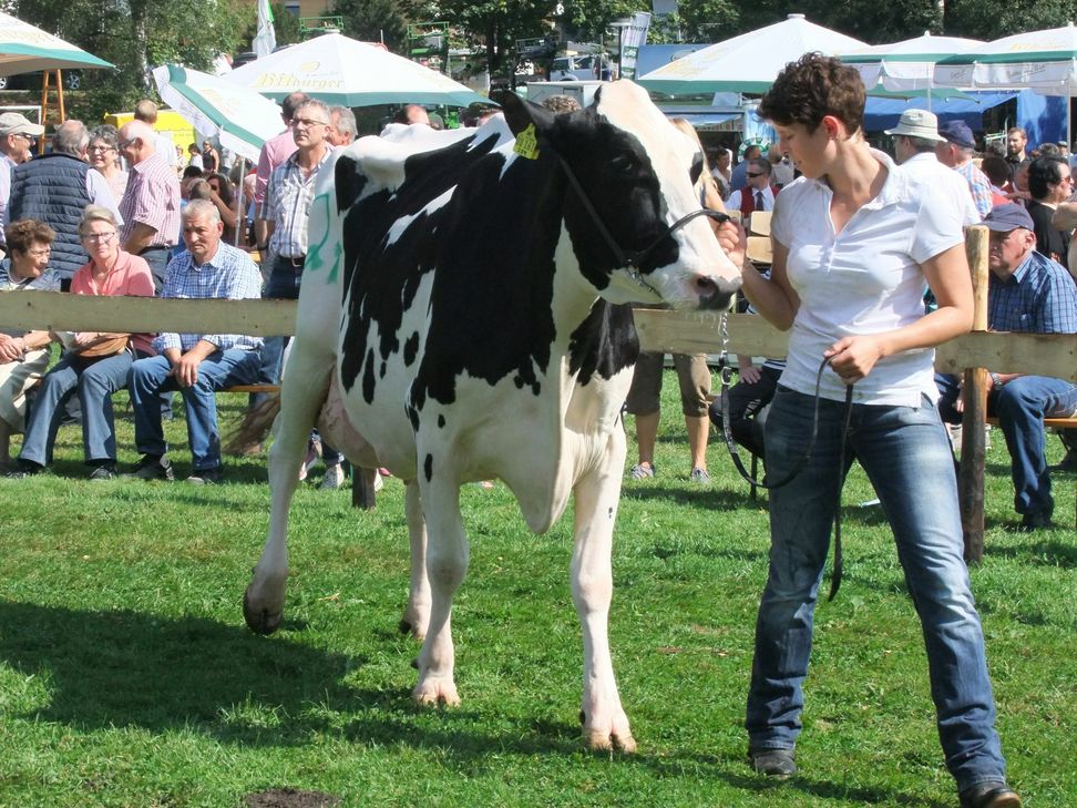 Esperanza wird aus dem Ring geführt.