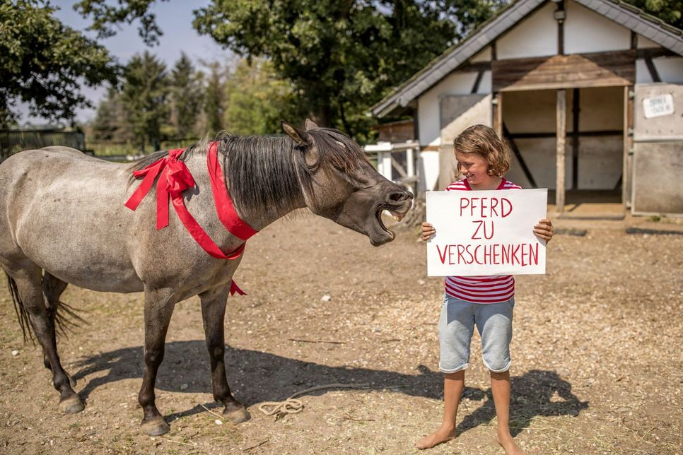 "Pferd zu verschenken" - das ist natürlich nicht ernst gemeint. Denn wie der Paul im Buch findet auch der »echte« Paul Juli mittlerweile ziemlich cool. Foto: Tomas Rodriguez