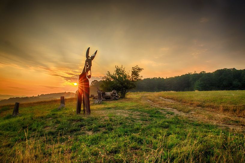 Das Traumschleifchen Murscher Aussichten bietet am Sonntag „Waldbaden“. (Foto: Klaus Breitkreutz)