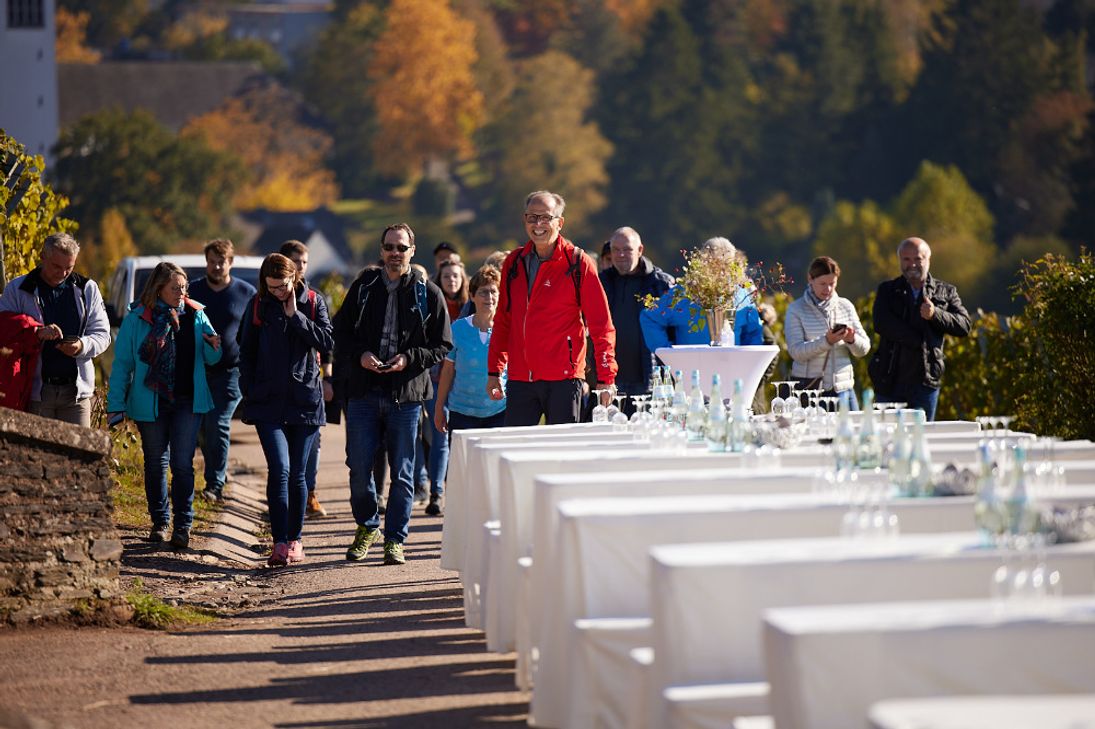 Weinwanderungen und Weinbergführungen - Hier werden Arbeitsschritte vom Rebschnitt bis zum Trinkgenuss im Glas anschaulich erläutert.