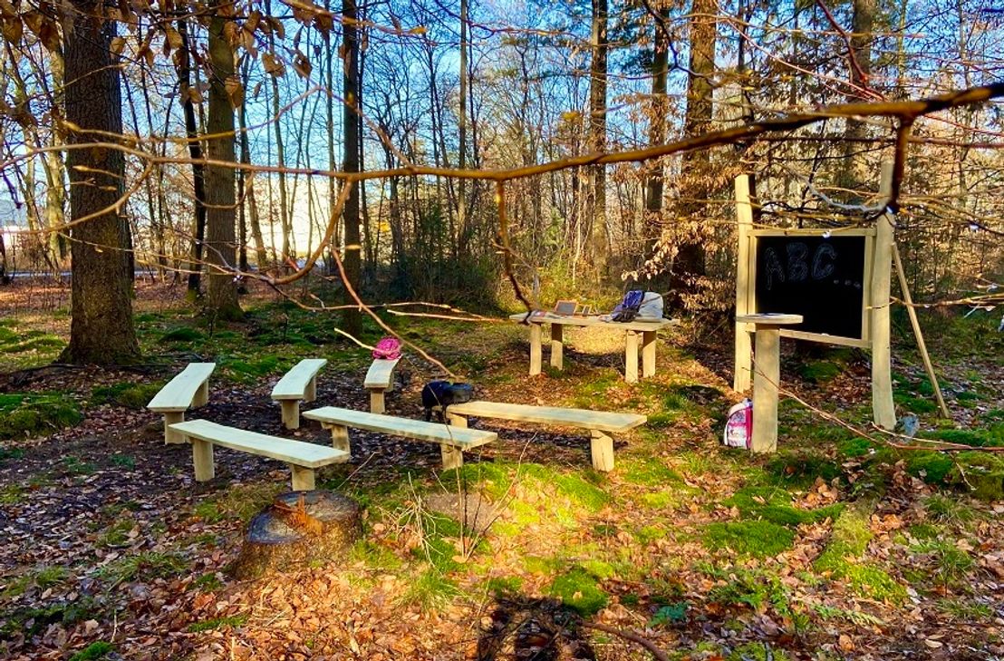 Fünf Schulen dürfen sich bald über ein Waldklassenzimmer freuen.