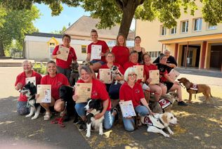 Teams Therapiehunde