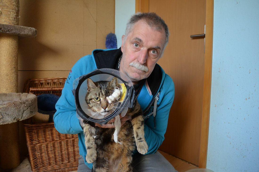 André Lampertz mit Kater Micky, dem ein bisher unbekannter Täter das linke Auge so stark verletzte, dass es entfernt werden musste. Foto: Kreller