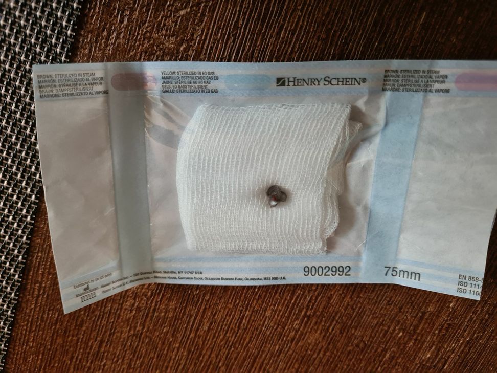 Das im Mundraum des Katers gefundene Projektil ist beim Aufprall stark deformiert worden. Foto: Privat