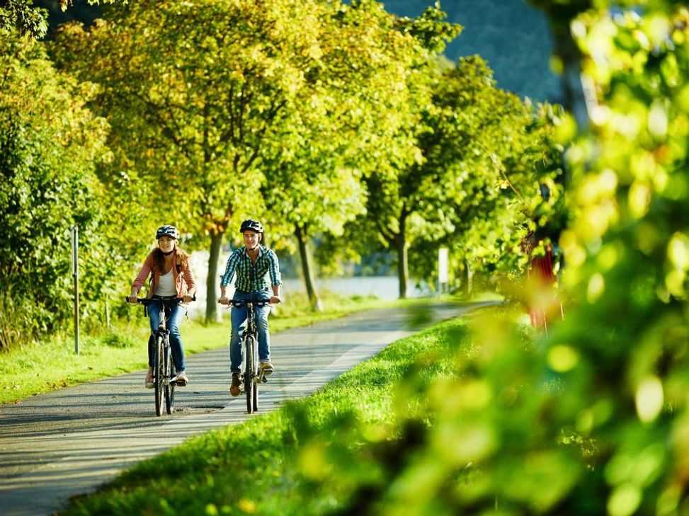 Unterwegs auf dem Moselradweg.