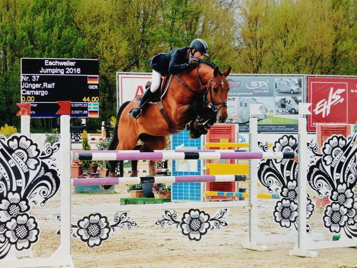 Ralf Jünger vom RZV Mayen konnte auf Charisma das Internationale Turnier in Eschweiler gewinnen.