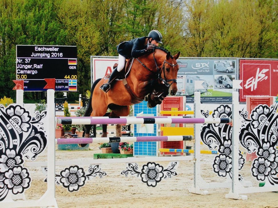 Ralf Jünger vom RZV Mayen konnte auf Charisma das Internationale Turnier in Eschweiler gewinnen.