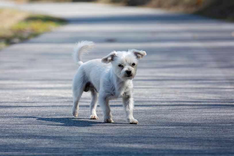 Foto: Symbolbild/Pixabay