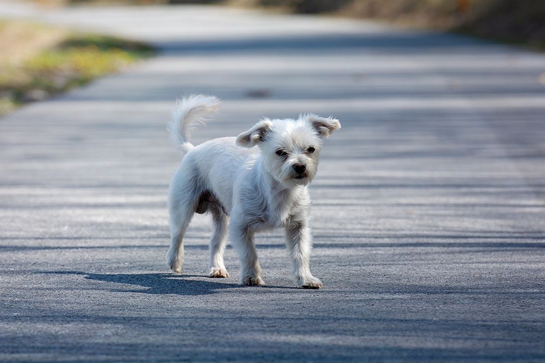 Foto: Symbolbild/Pixabay