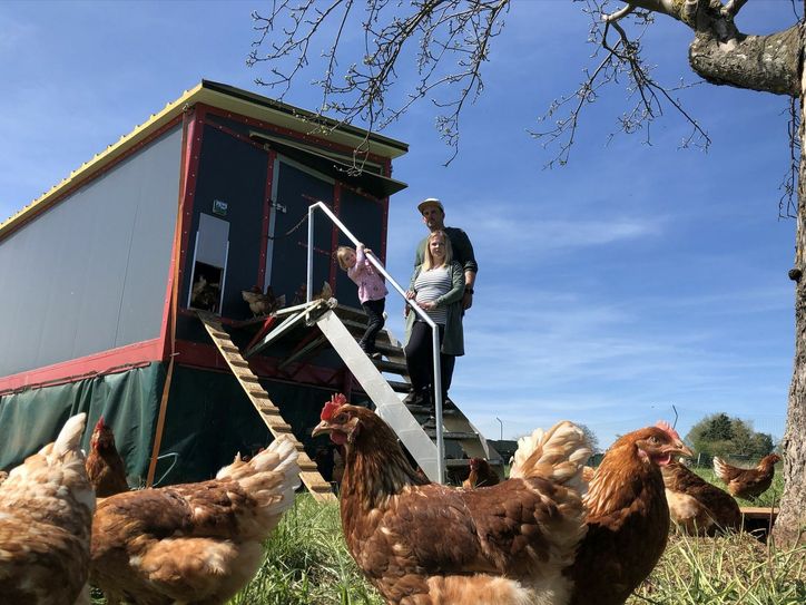 Und so sieht der Mobilstall aus, der in rund einem halben Jahr in Eigenregie aufgebaut wurde. mn-Foto