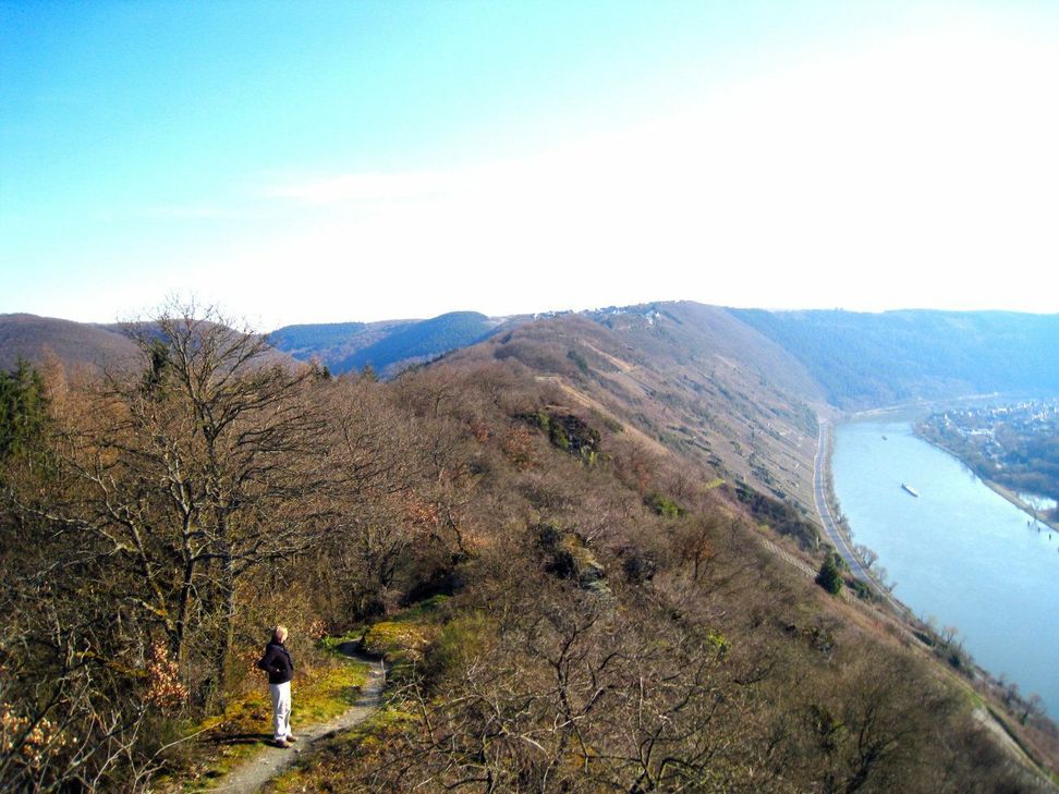 Auf den Höhen zwischen Enkirch und Starkenburg. Foto: Natur Aktiv Erleben
