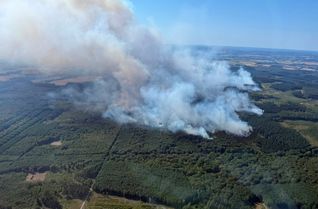Waldbrand in Hürtgenwald