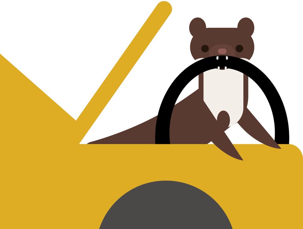 Steinmarder verursachen jährlich Schäden an PKW in Millionenhöhe an. Foto: DJV