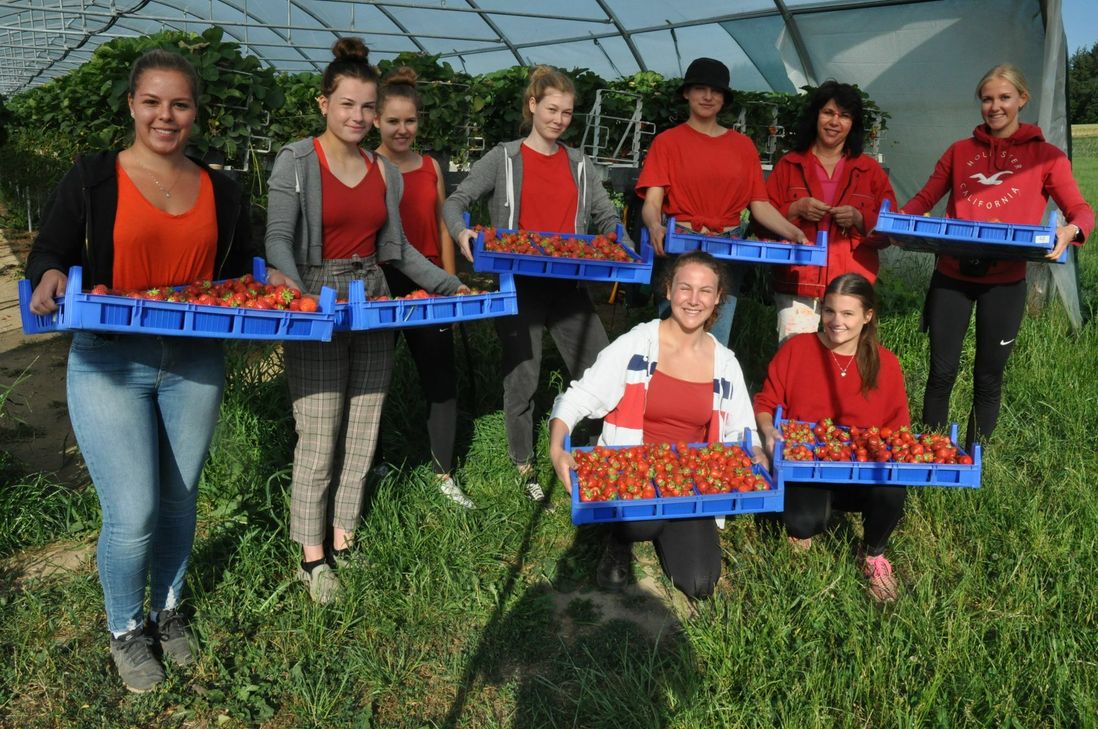 Sorgen täglich für feldfrische Erdbeeren vom "Rosen- und Beerengarten" (hintere Reihe, von links): Selina Bowe, Kristin Henrichs, Katharina Bowe, Lea Moench, Anastasia von Kossack, Jamileh Theisen und Anna-Maria Olzem sowie (vordere Reihe, von links): Esthera von Kossack und Johanna Ellerich.