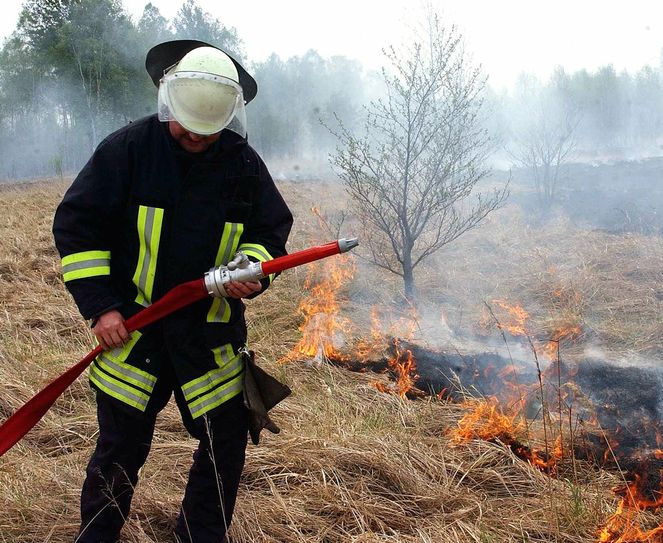 Bereits ein kleiner Funke kann schnell einen großen Waldbrand verursachen.