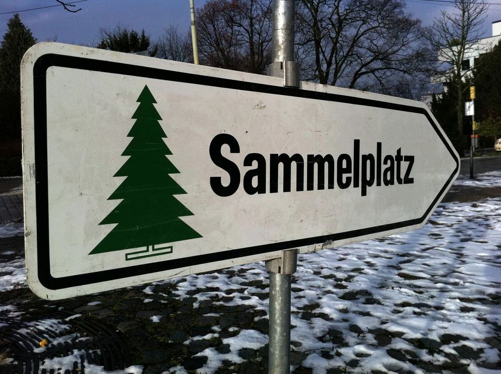 Weihnachtsbäume werden idealerweise in städtischen Sammelstellen entsorgt. Wildes Abladen ist verboten! Foto: FF