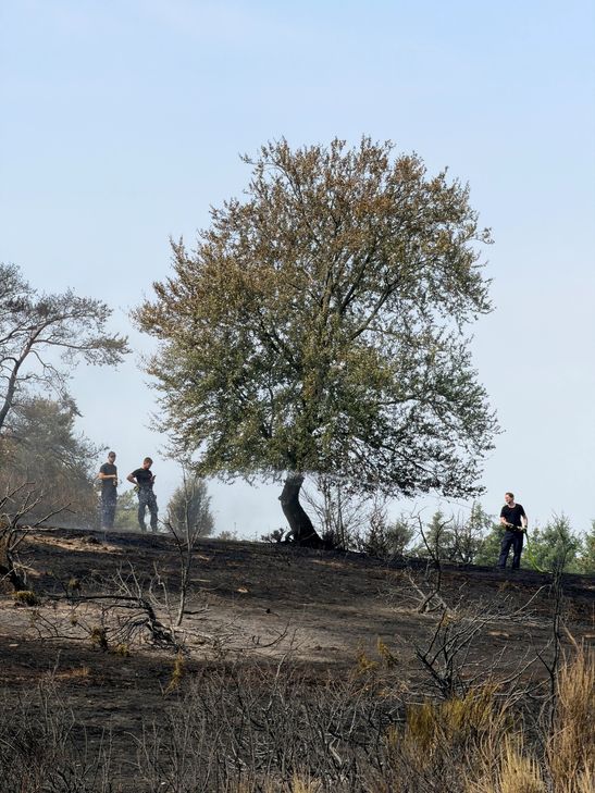 Feuerwehr bei der Brandbekämpfung.