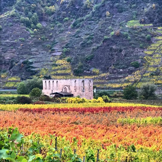 Den dritten Platz teilen sich Steffen Engel ...