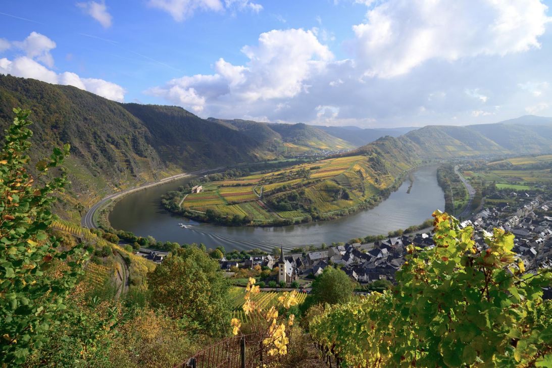 Das Bild des Zweitplatzierten Hans-Peter Amlinger.