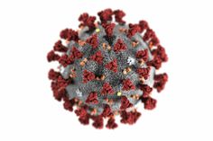 Beim Covid-19-Virus handelt es sich um einen neuen Erreger, der hochansteckend ist und sich schnell verbreiten kann. Sein Ursprung ist noch nicht voll geklärt. Er ist laut WHO nicht vergleichbar mit SARS und Influenza. Foto: Imago/ ZUMA Press