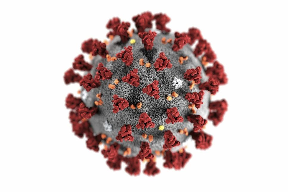 Beim Covid-19-Virus handelt es sich um einen neuen Erreger, der hochansteckend ist und sich schnell verbreiten kann. Sein Ursprung ist noch nicht voll geklärt. Er ist laut WHO nicht vergleichbar mit SARS und Influenza. Foto: Imago/ ZUMA Press