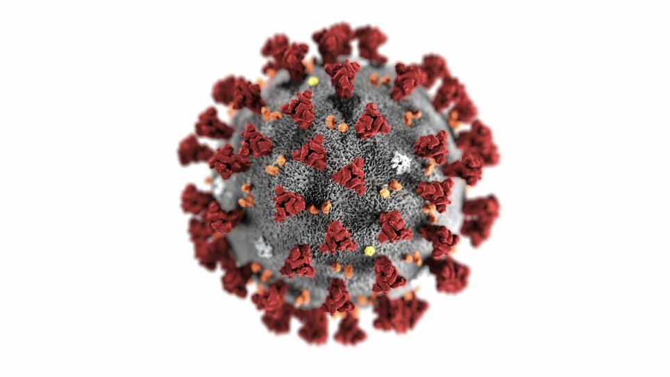 Beim Covid-19-Virus handelt es sich um einen neuen Erreger, der hochansteckend ist und sich schnell verbreiten kann. Sein Ursprung ist noch nicht voll geklärt. Er ist laut WHO nicht vergleichbar mit SARS und Influenza. Foto: Imago/ ZUMA Press
