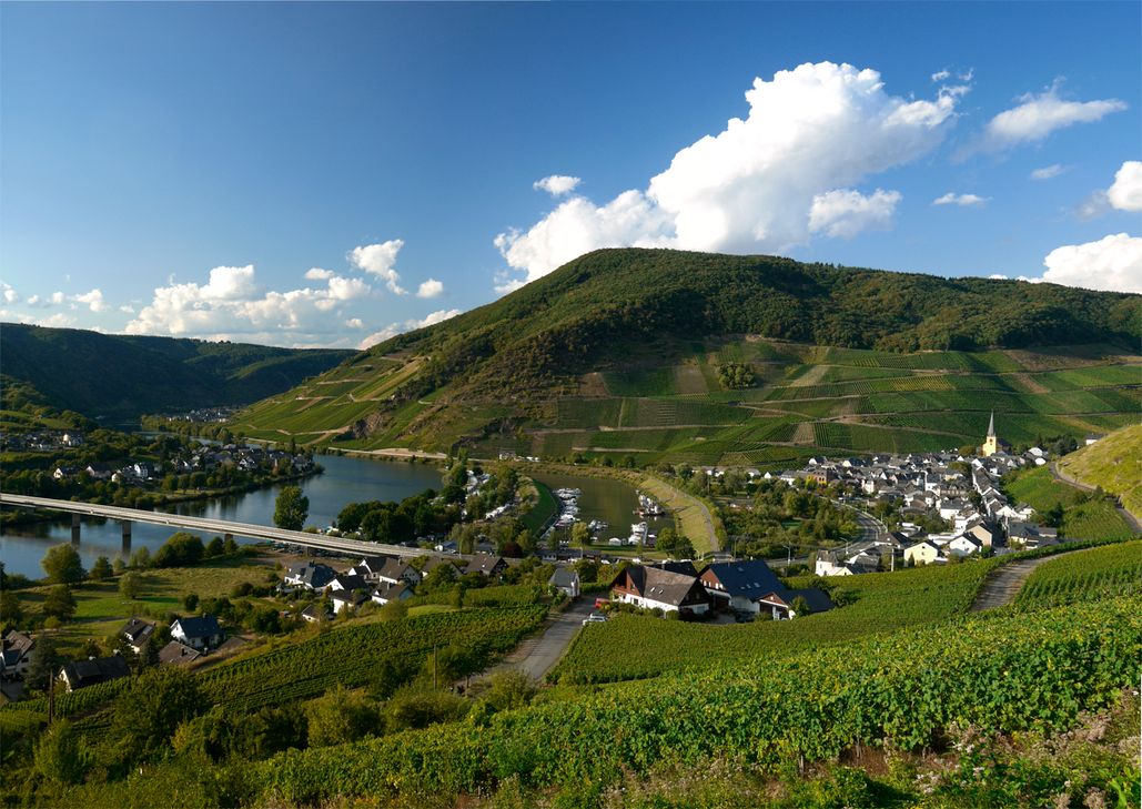 Goldmedaille für Senheim-Senhals - Kreis Cochem-Zell - Wochenspiegel